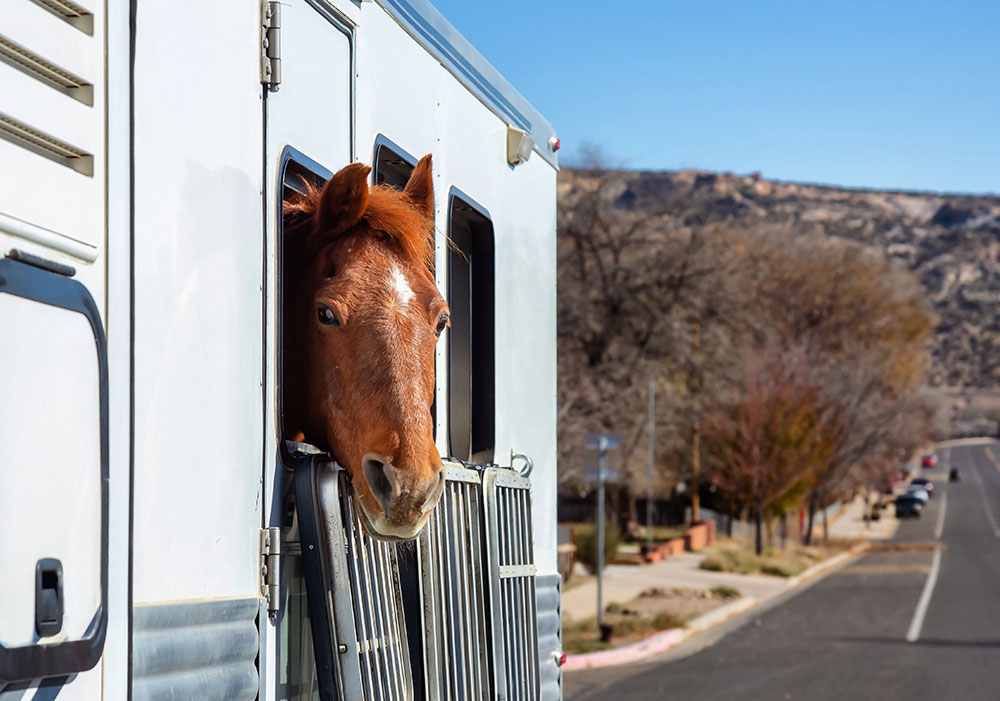 Anhaenger Fuehrerschein in Hildesheim machen Fahrschule be2
